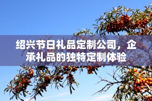 绍兴节日礼品定制公司，企承礼品的独特定制体验