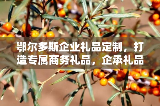 鄂尔多斯企业礼品定制，打造专属商务礼品，企承礼品供应链助力企业需求