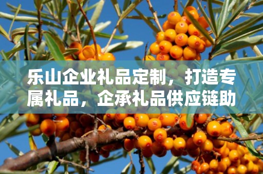 乐山企业礼品定制，打造专属礼品，企承礼品供应链助力商务往来