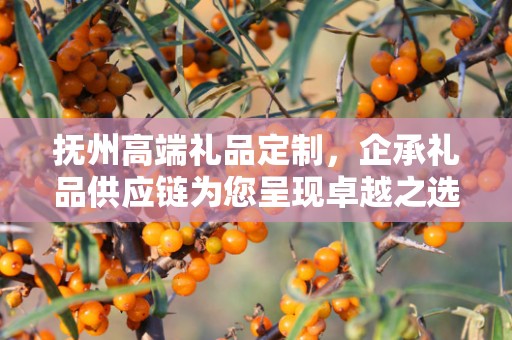 抚州高端礼品定制，企承礼品供应链为您呈现卓越之选