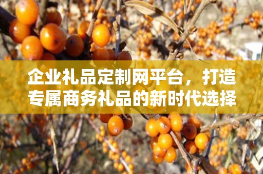 企业礼品定制网平台，打造专属商务礼品的新时代选择