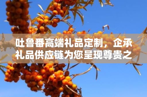 吐鲁番高端礼品定制，企承礼品供应链为您呈现尊贵之选