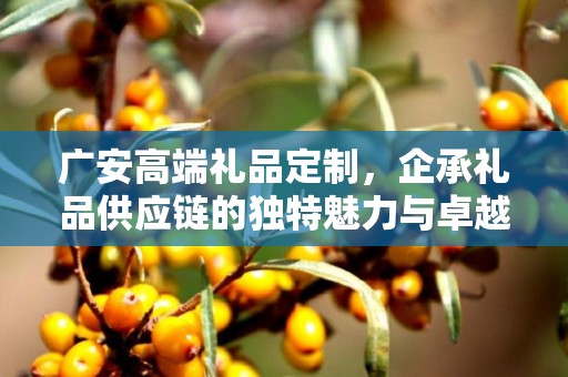 广安高端礼品定制，企承礼品供应链的独特魅力与卓越服务