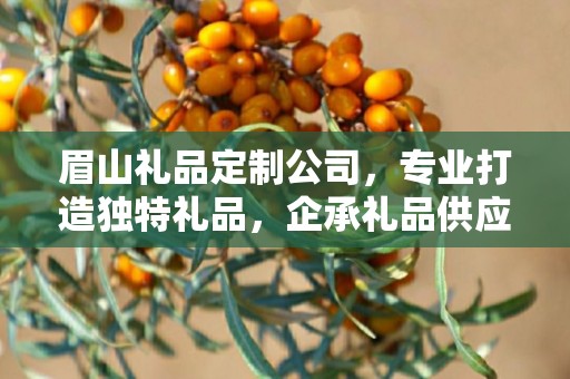 眉山礼品定制公司，专业打造独特礼品，企承礼品供应链卓越服务