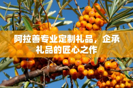 阿拉善专业定制礼品，企承礼品的匠心之作