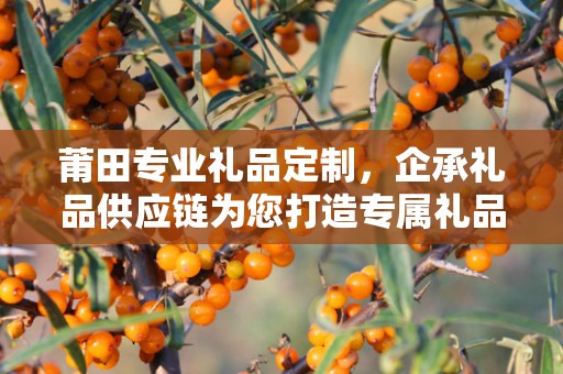 莆田专业礼品定制，企承礼品供应链为您打造专属礼品