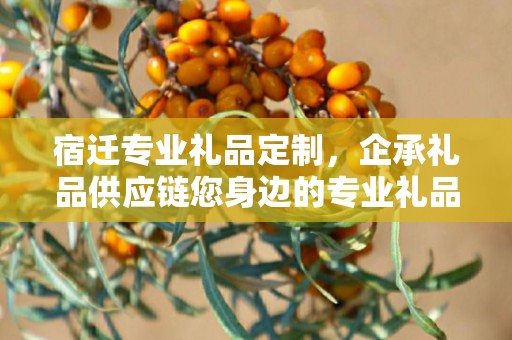 宿迁专业礼品定制，企承礼品供应链您身边的专业礼品定制公司
