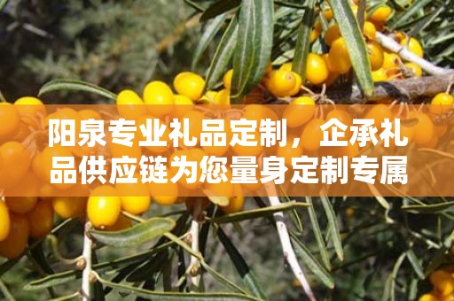 阳泉专业礼品定制，企承礼品供应链为您量身定制专属礼品