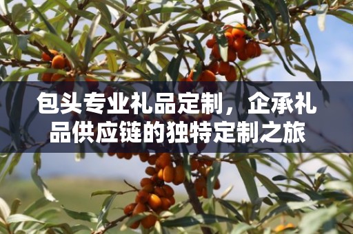 包头专业礼品定制，企承礼品供应链的独特定制之旅