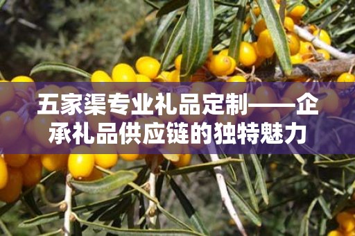 五家渠专业礼品定制——企承礼品供应链的独特魅力