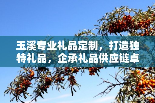 玉溪专业礼品定制，打造独特礼品，企承礼品供应链卓越服务