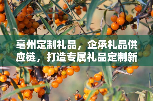 亳州定制礼品，企承礼品供应链，打造专属礼品定制新体验