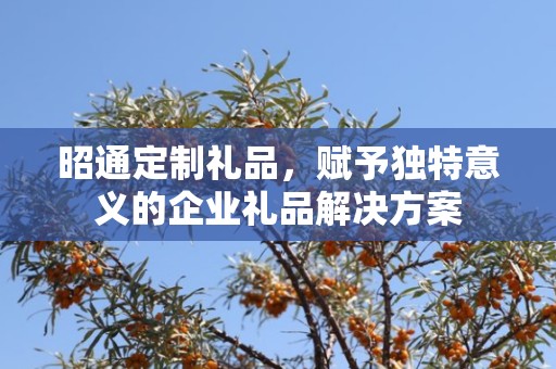 昭通定制礼品，赋予独特意义的企业礼品解决方案