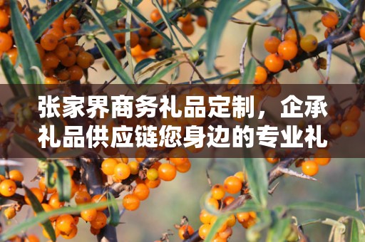 张家界商务礼品定制，企承礼品供应链您身边的专业礼品定制公司