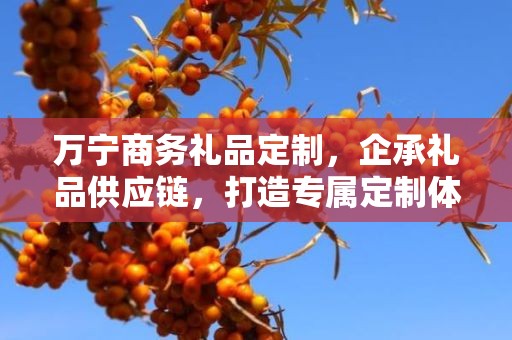 万宁商务礼品定制，企承礼品供应链，打造专属定制体验
