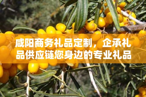 咸阳商务礼品定制，企承礼品供应链您身边的专业礼品定制公司