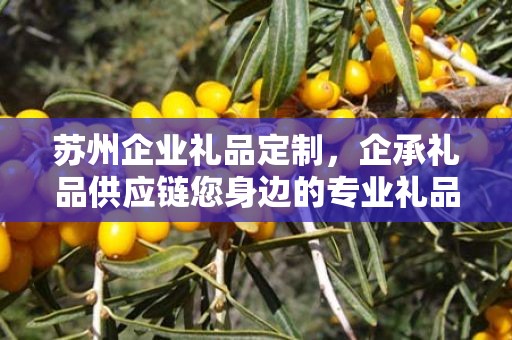 苏州企业礼品定制，企承礼品供应链您身边的专业礼品定制公司