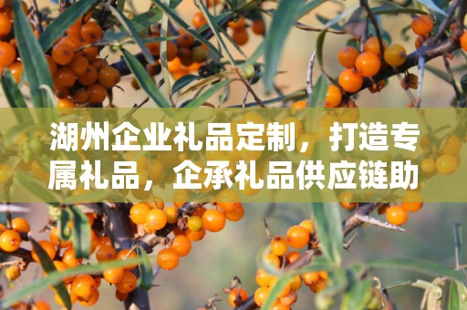 湖州企业礼品定制，打造专属礼品，企承礼品供应链助力商务往来