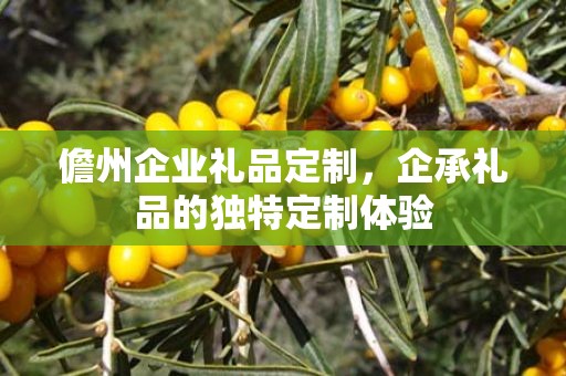 儋州企业礼品定制，企承礼品的独特定制体验