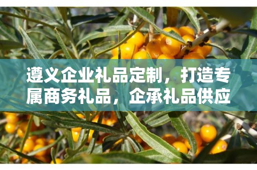 遵义企业礼品定制，打造专属商务礼品，企承礼品供应链助力企业福利升级