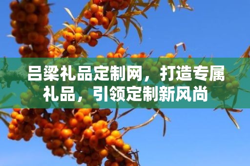 吕梁礼品定制网，打造专属礼品，引领定制新风尚