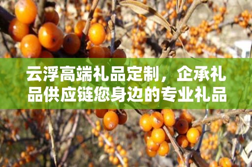 云浮高端礼品定制，企承礼品供应链您身边的专业礼品定制公司