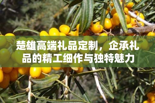 楚雄高端礼品定制，企承礼品的精工细作与独特魅力
