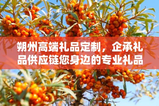 朔州高端礼品定制，企承礼品供应链您身边的专业礼品定制公司