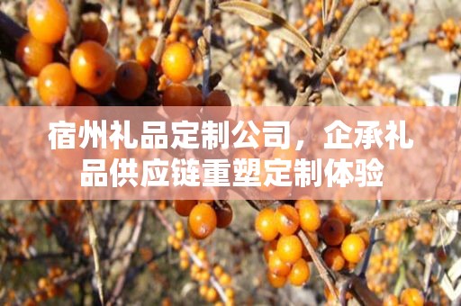 宿州礼品定制公司，企承礼品供应链重塑定制体验