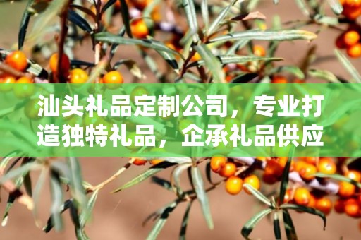 汕头礼品定制公司，专业打造独特礼品，企承礼品供应链引领行业新风尚