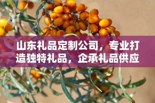 山东礼品定制公司，专业打造独特礼品，企承礼品供应链引领行业前沿