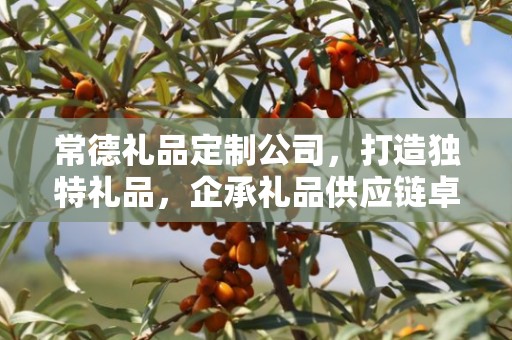 常德礼品定制公司，打造独特礼品，企承礼品供应链卓越服务