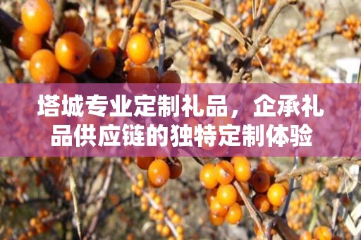塔城专业定制礼品，企承礼品供应链的独特定制体验