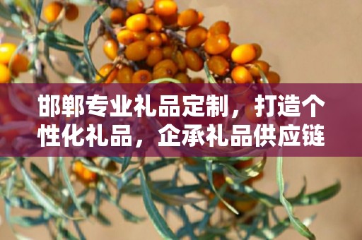 邯郸专业礼品定制，打造个性化礼品，企承礼品供应链助力商务之选