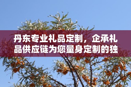 丹东专业礼品定制，企承礼品供应链为您量身定制的独特礼品