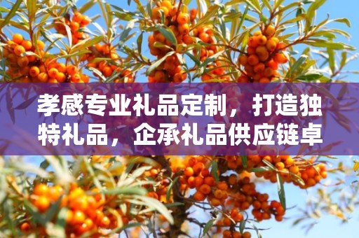 孝感专业礼品定制，打造独特礼品，企承礼品供应链卓越服务