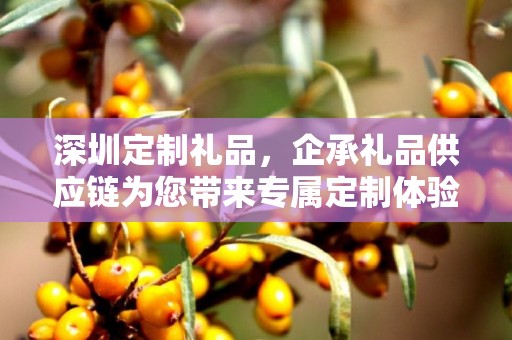 深圳定制礼品，企承礼品供应链为您带来专属定制体验