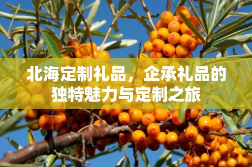 北海定制礼品，企承礼品的独特魅力与定制之旅