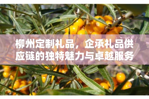 柳州定制礼品，企承礼品供应链的独特魅力与卓越服务