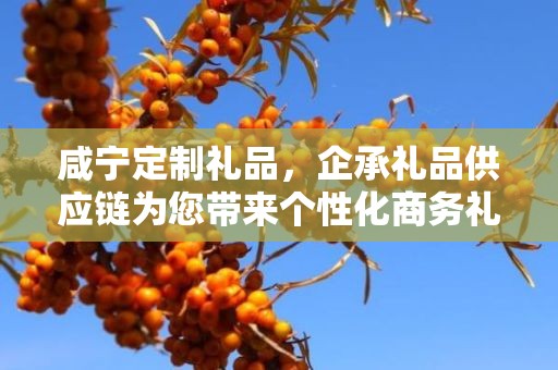 咸宁定制礼品，企承礼品供应链为您带来个性化商务礼品定制体验