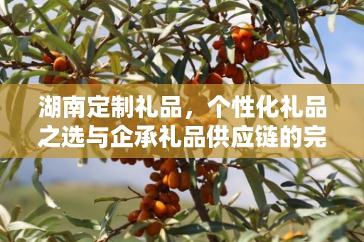 湖南定制礼品，个性化礼品之选与企承礼品供应链的完美结合