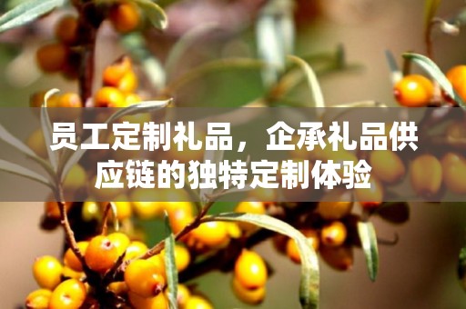 员工定制礼品，企承礼品供应链的独特定制体验