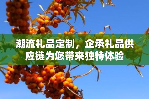 潮流礼品定制，企承礼品供应链为您带来独特体验