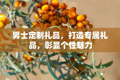 男士定制礼品，打造专属礼品，彰显个性魅力