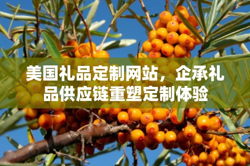美国礼品定制网站，企承礼品供应链重塑定制体验