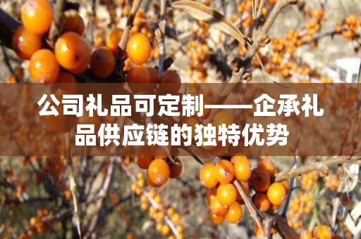 公司礼品可定制——企承礼品供应链的独特优势