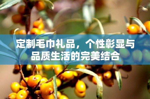 定制毛巾礼品，个性彰显与品质生活的完美结合