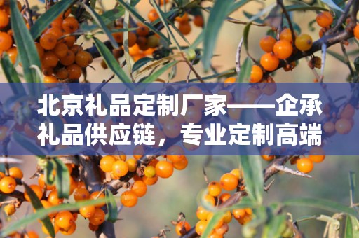 北京礼品定制厂家——企承礼品供应链，专业定制高端礼品