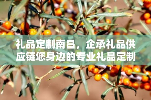 礼品定制南昌，企承礼品供应链您身边的专业礼品定制公司