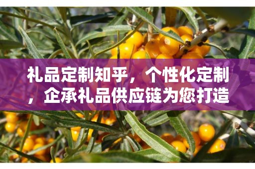 礼品定制知乎，个性化定制，企承礼品供应链为您打造专属礼品